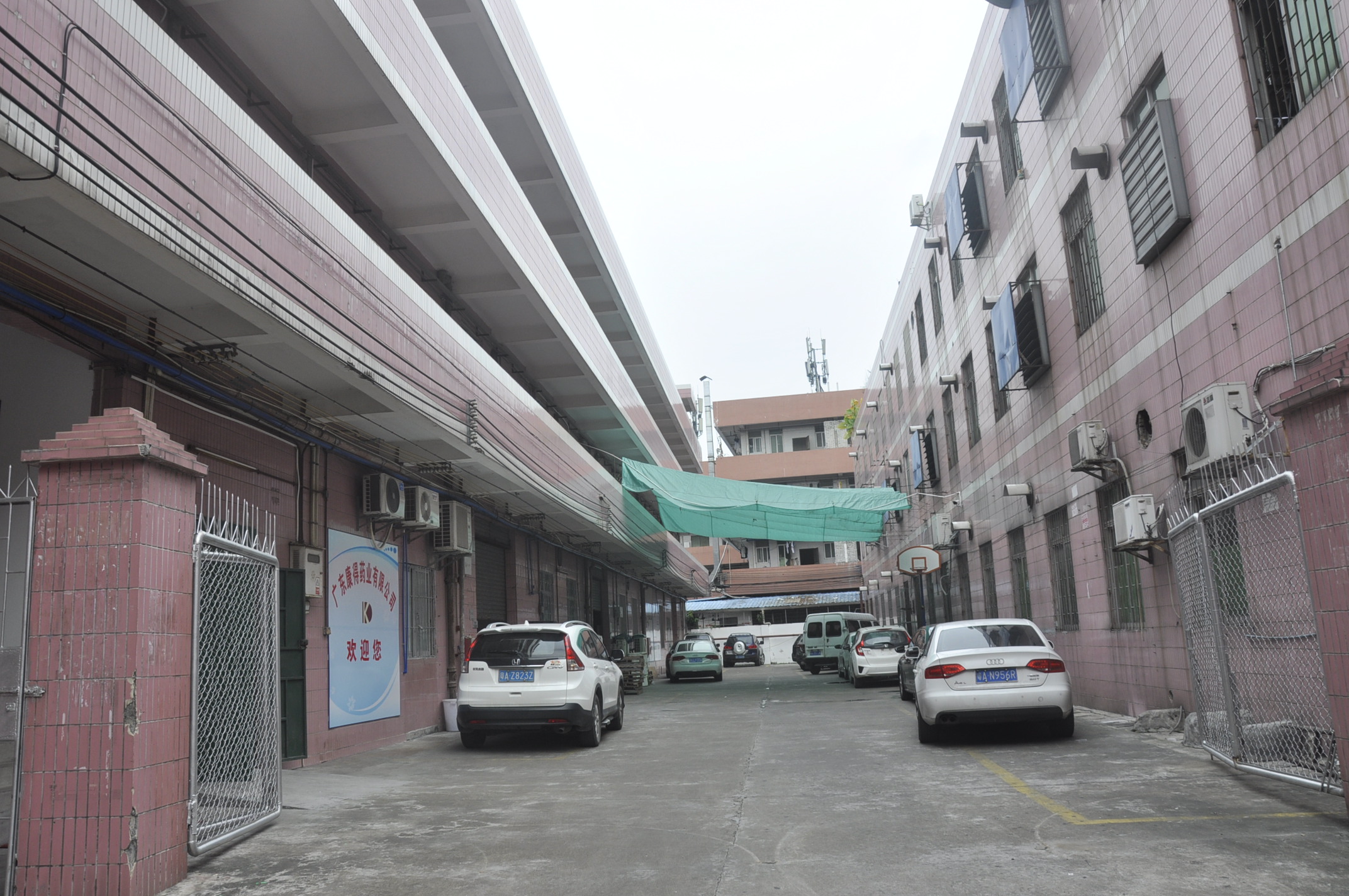 公司大门处